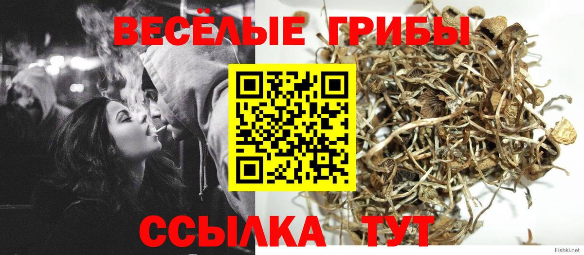 Галлюциногенные грибы GOLDEN TEACHER Сызрань