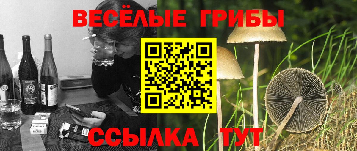 Псилоцибиновые грибы GOLDEN TEACHER  Вход с VPN  Сызрань 